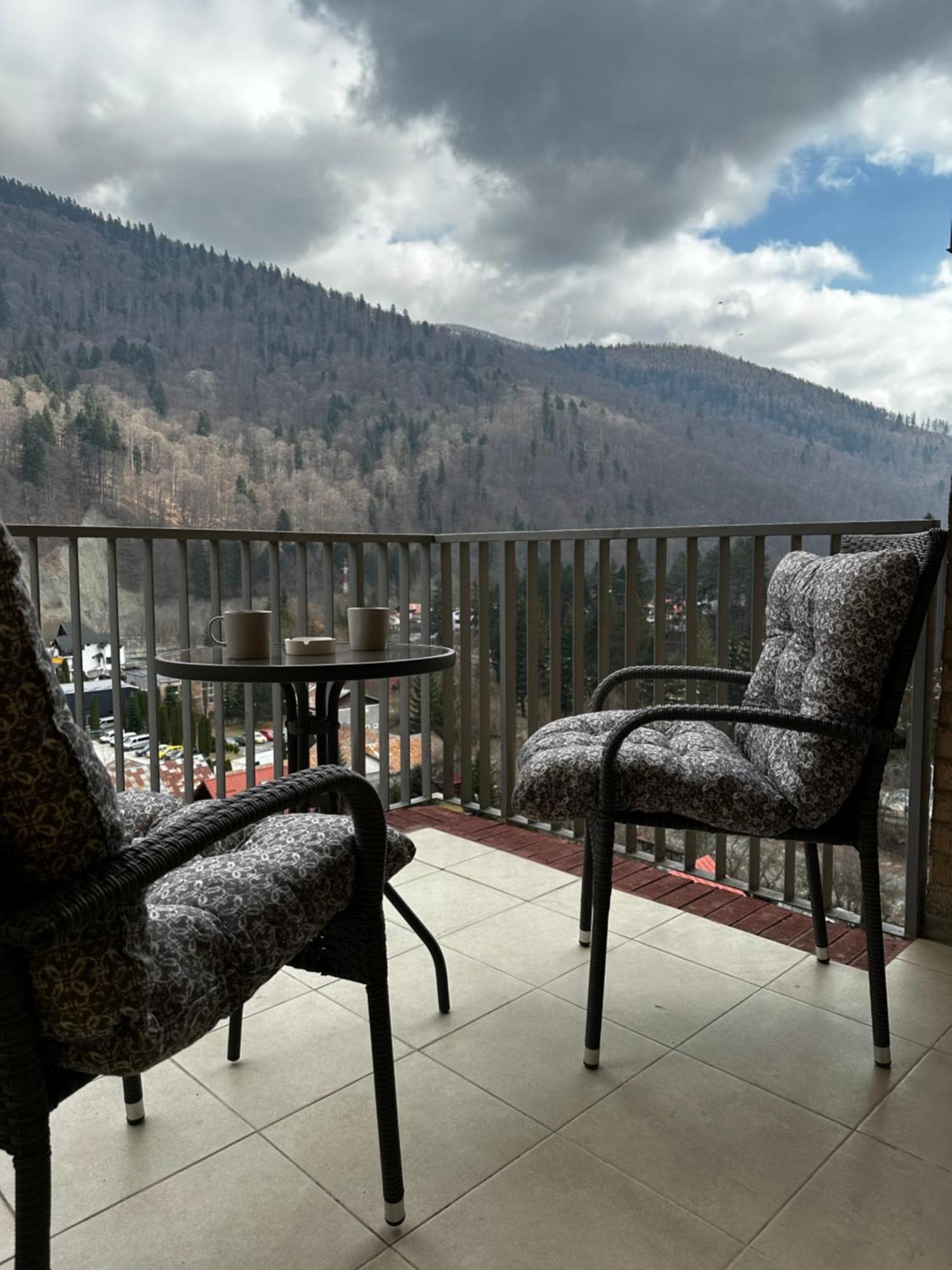 Colette Studio Belleview Sinaia Buitenkant foto